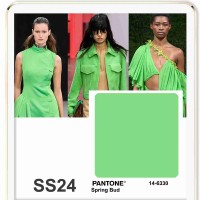 Color Mujer SS24