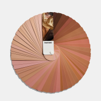 PANTONE Limited Edition SkinTone Guide