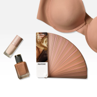 PANTONE Limited Edition SkinTone Guide