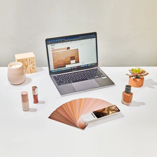 PANTONE Limited Edition SkinTone Guide